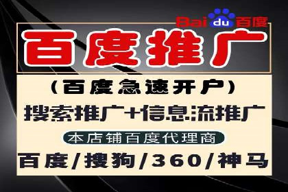 行业专家解析SEM代运营成功案例
